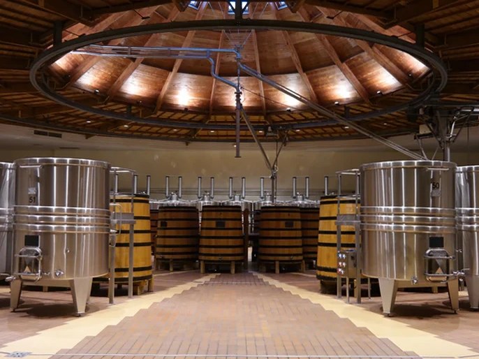 Wine cellar with stainless steel and wooden fermentation tanks