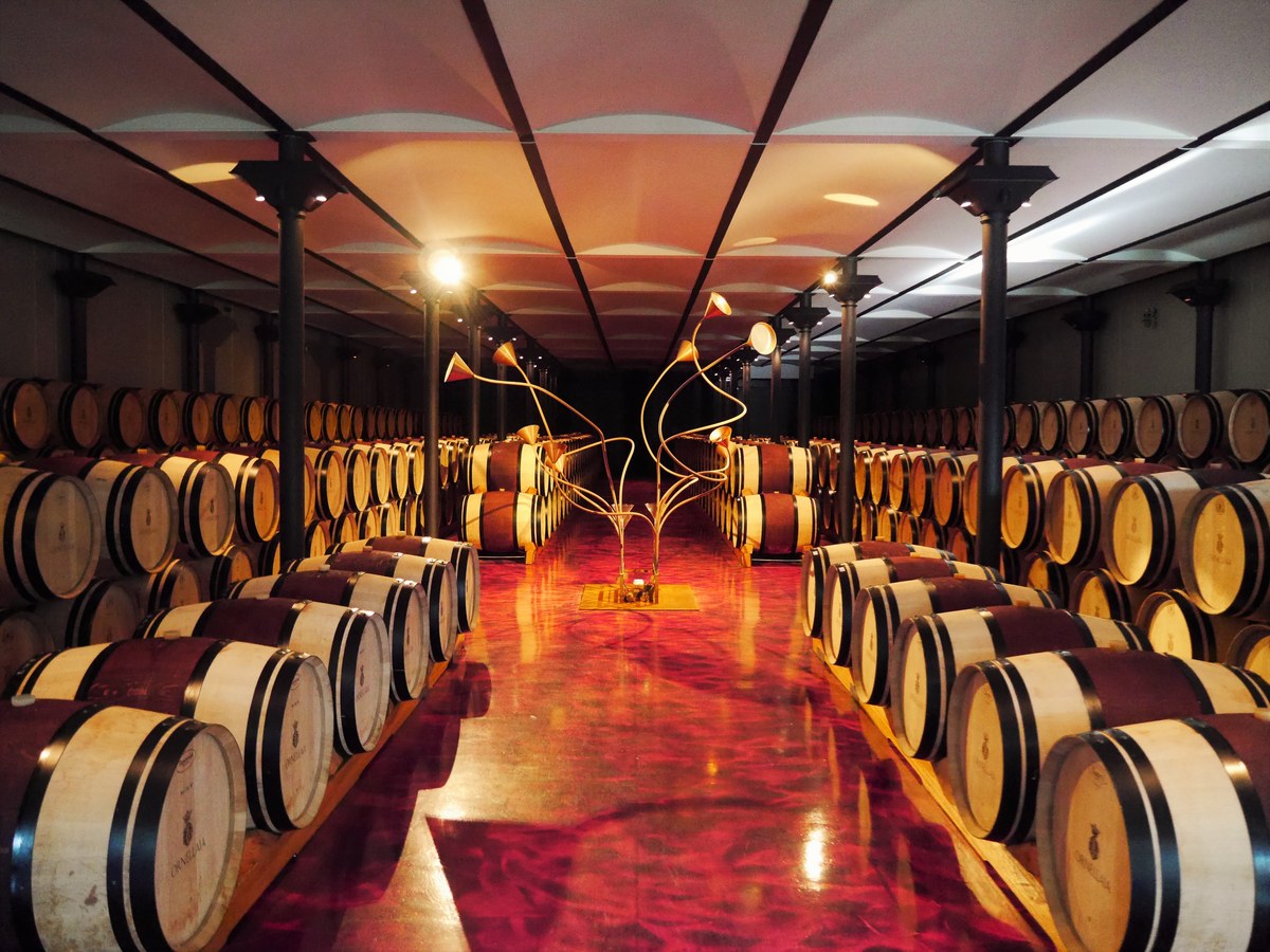 Ornellaia's barrel cellar holds hundreds of oak aging barrels flanking a red-polished floor.