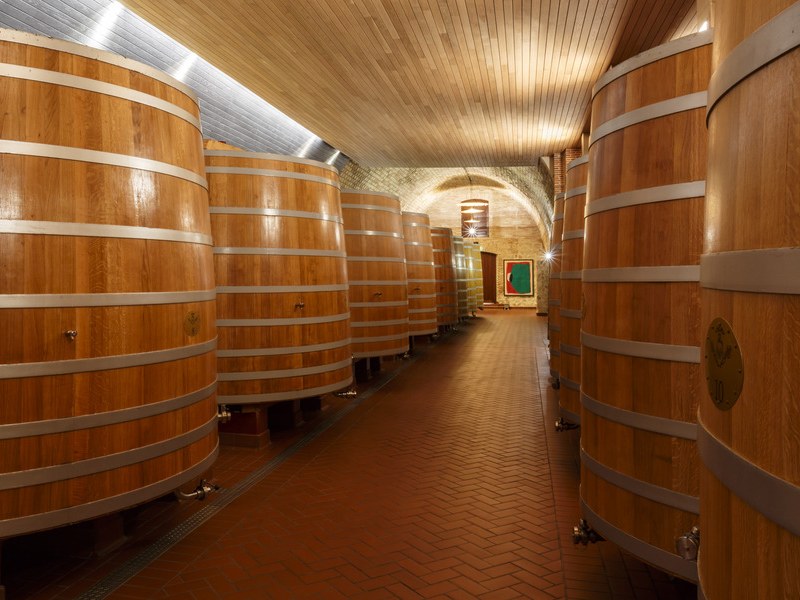 A long, vaulted cellar corridor with a terracotta tile floor, lined on both sides with large, light-colored wooden wine vats with metal bands.