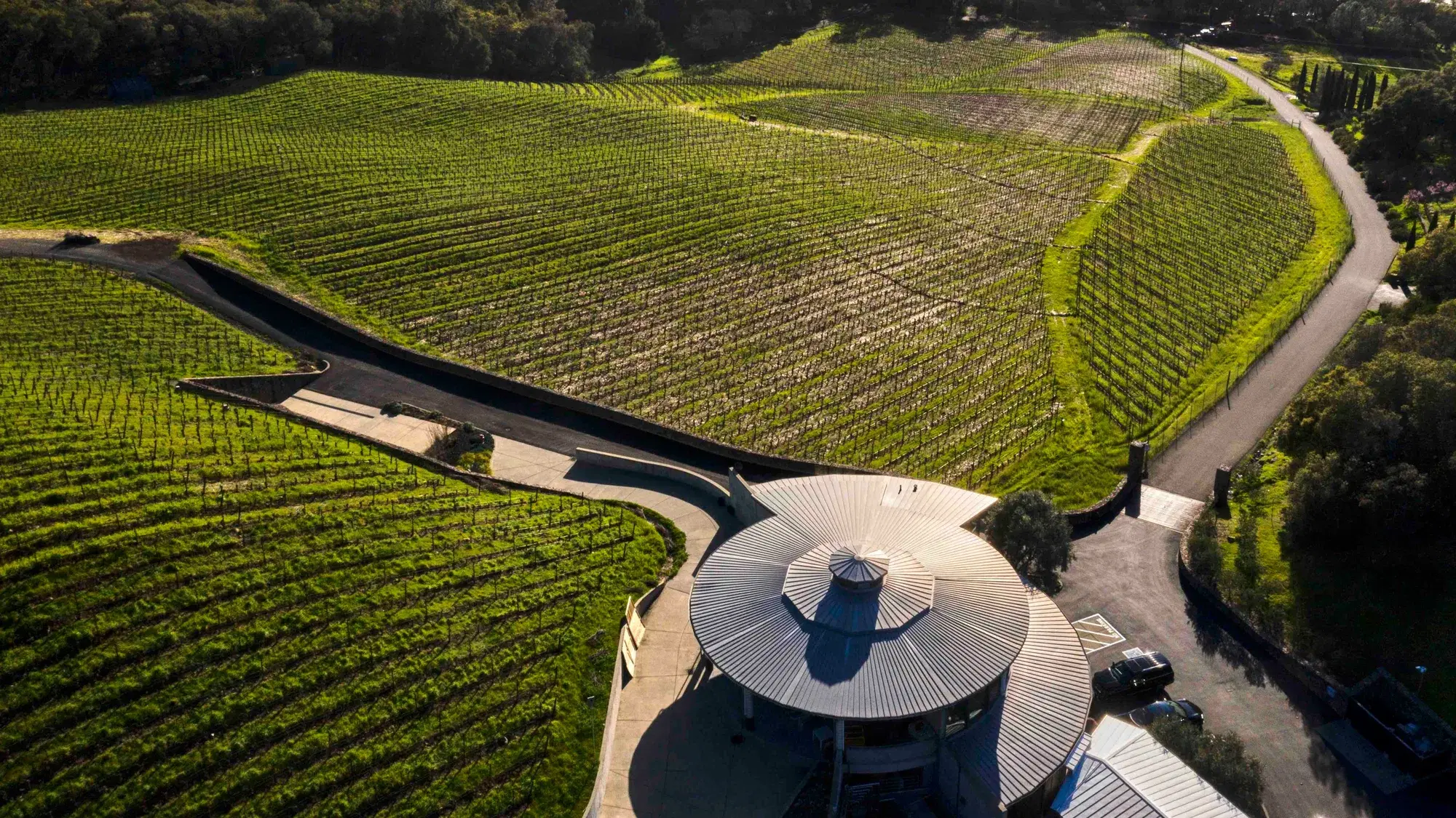 Inside Continuum Estate - A Legacy Tasting Experience on Pritchard Hill