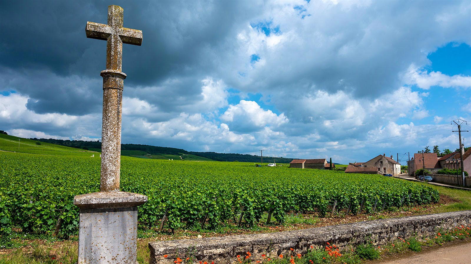 How to Buy Romanée-Conti DRC in 2026