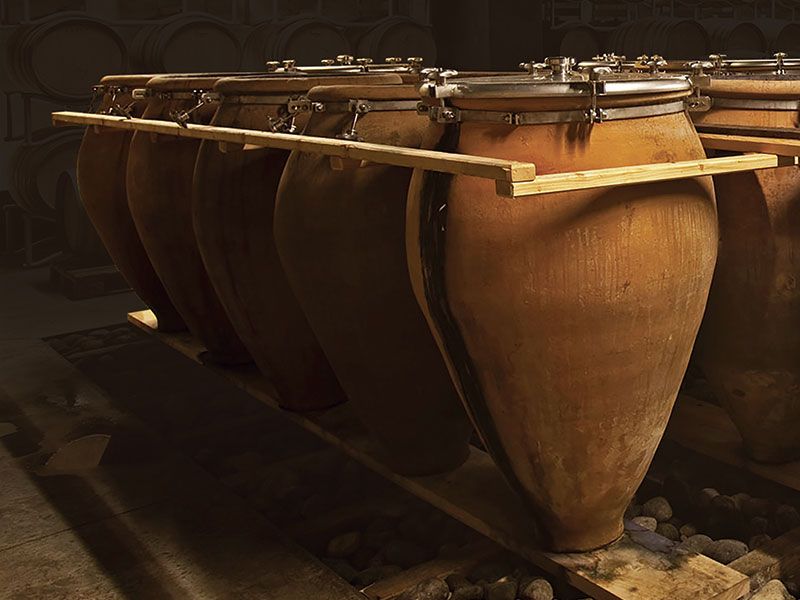 Row of large terracotta amphora vessels in a wine cellar with wooden mallets resting on top; the source page.