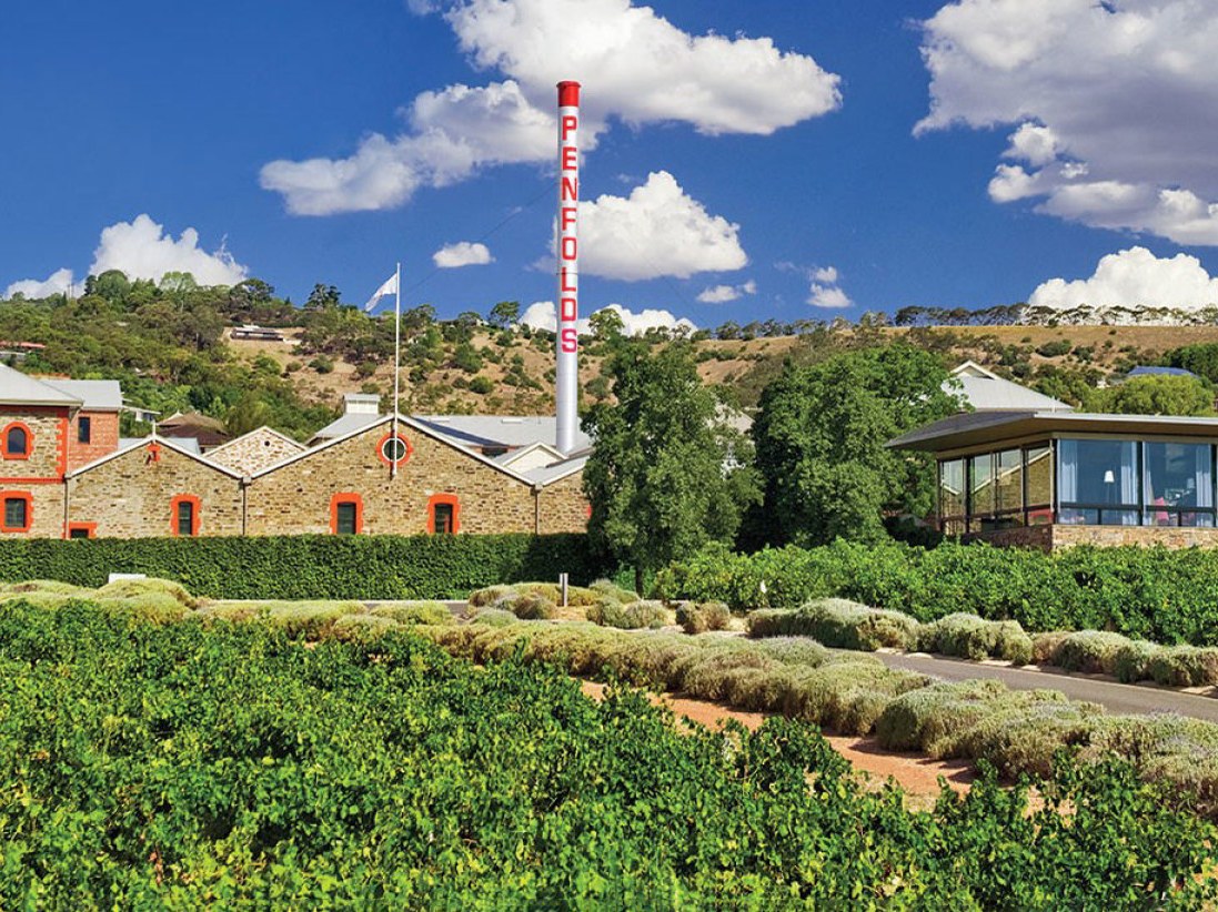 Penfolds Magill Estate buildings and vineyards under a blue sky.