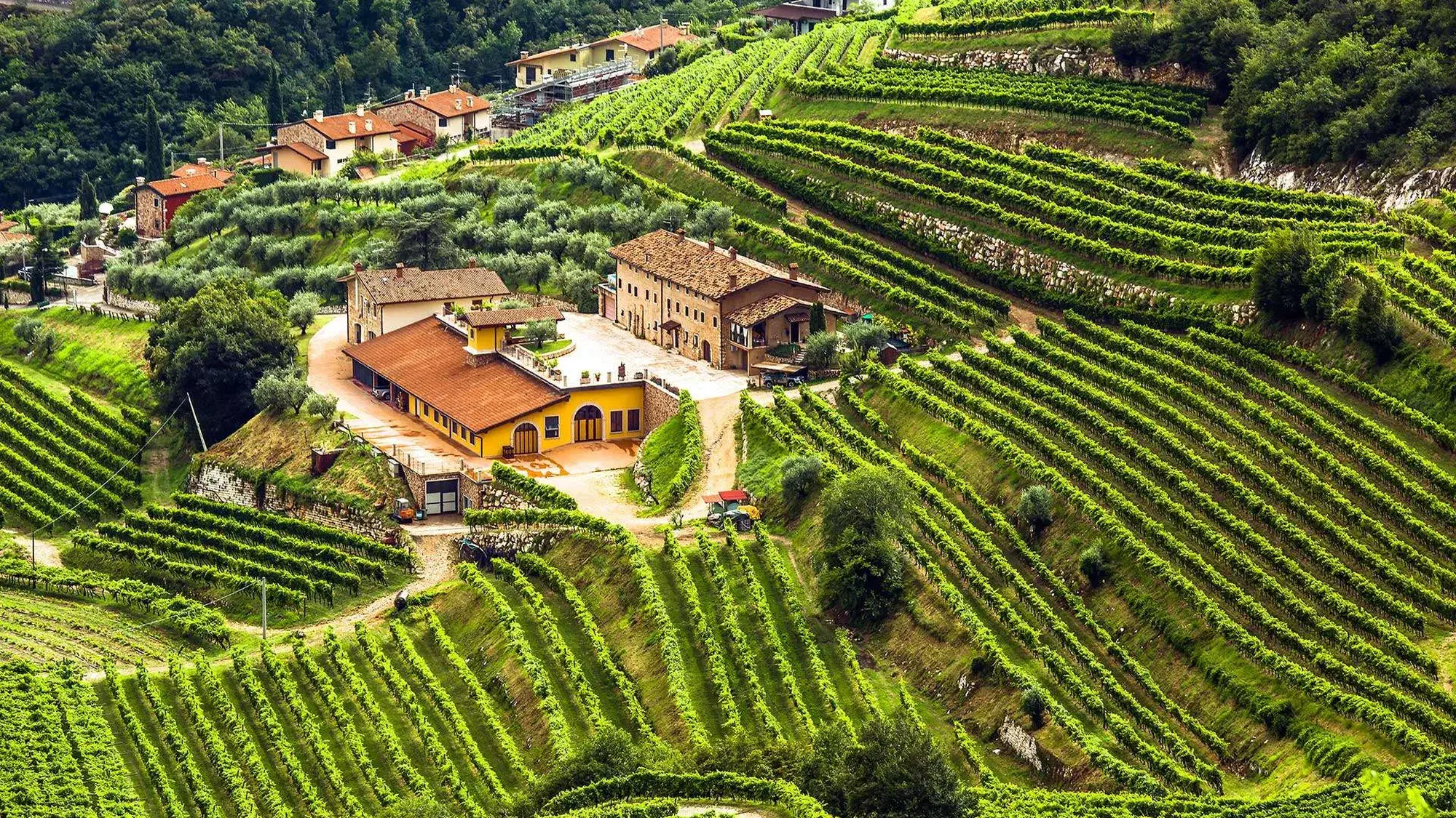 Quintarelli and Dal Forno: Valpolicella Visit Guide 2026