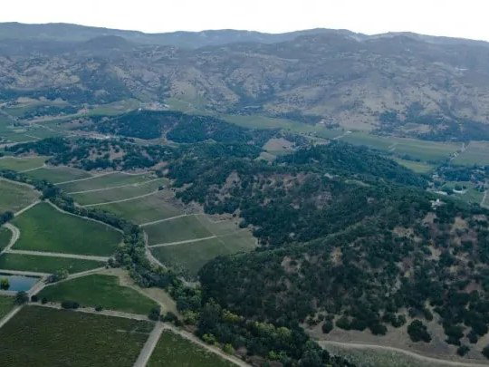 Stag's Leap Wine Cellars: The dramatic landscape of the Stags Leap District AVA, with vineyards and hills.