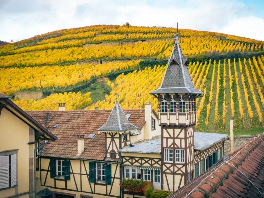 An exterior view of a half-timbered Alsatian building with a decorative tower, set against golden autumn vineyard hillsides under a cloudy sky.