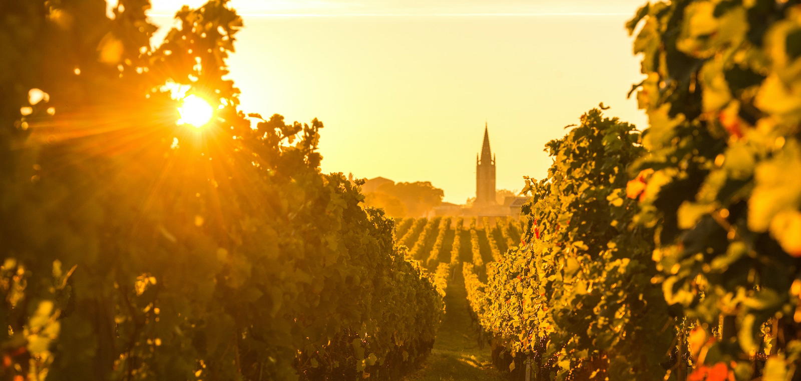 Itinerary: A Weekend in Santa Barbara Wine Country