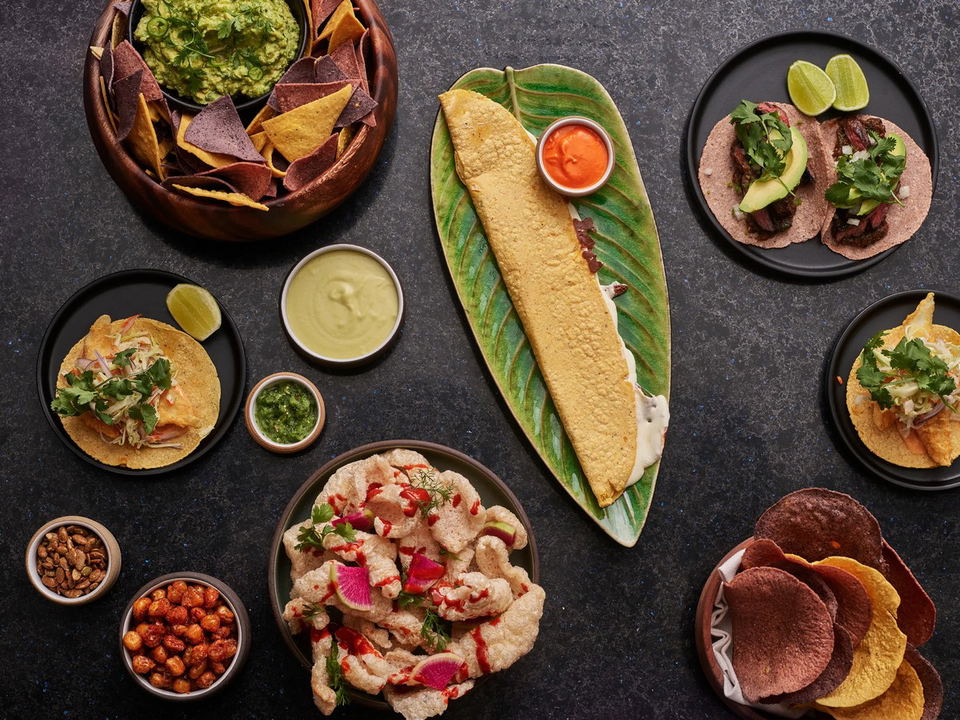 An overhead flat-lay of multiple Mexican coastal dishes including tacos on corn tortillas, a large quesadilla on a leaf-shaped platter, chips with