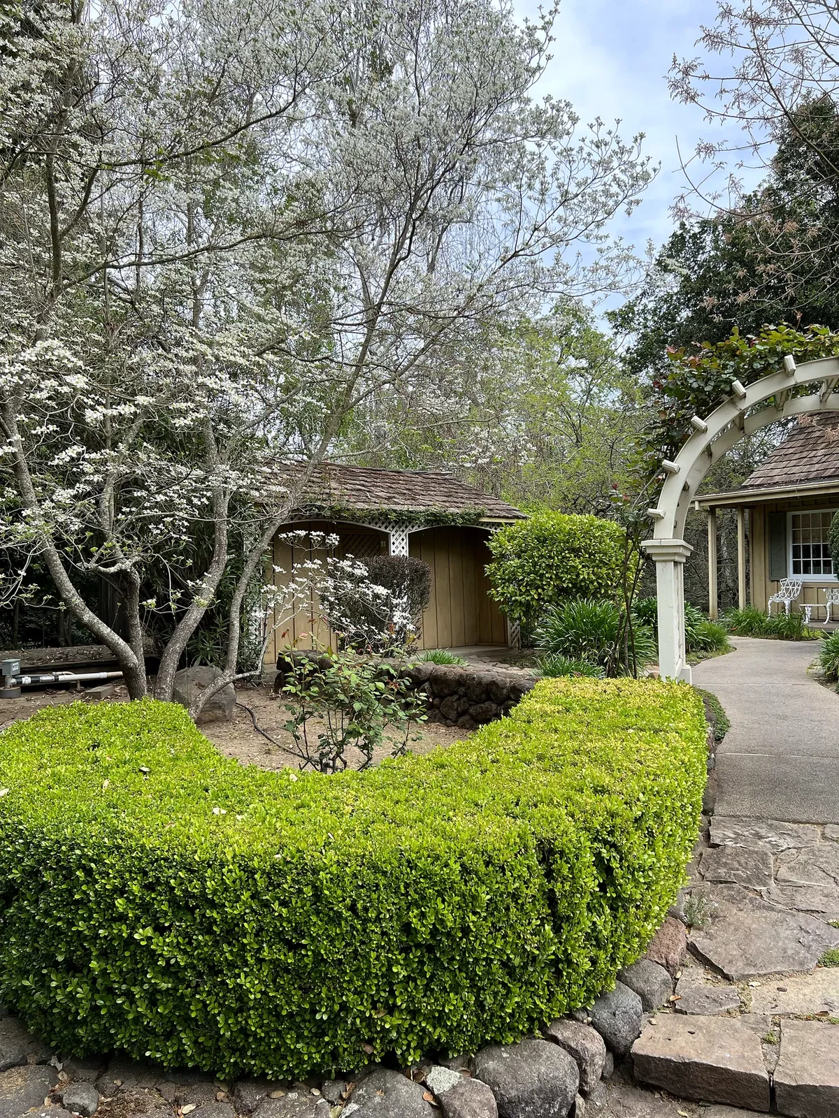 Flowering tree, clipped hedges and stone path in the gardens at Kanpai Wines