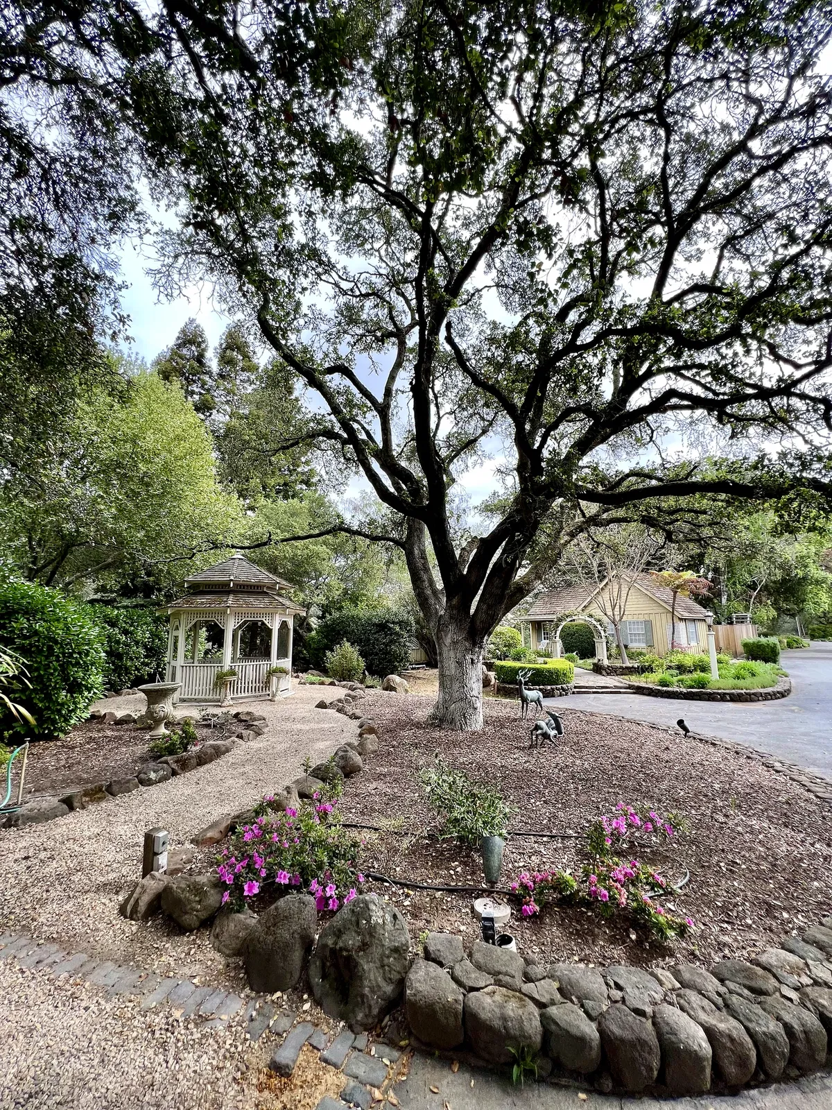 Garden path beneath a large oak tree with gazebo and spring flowers at Meadowbrook Farm