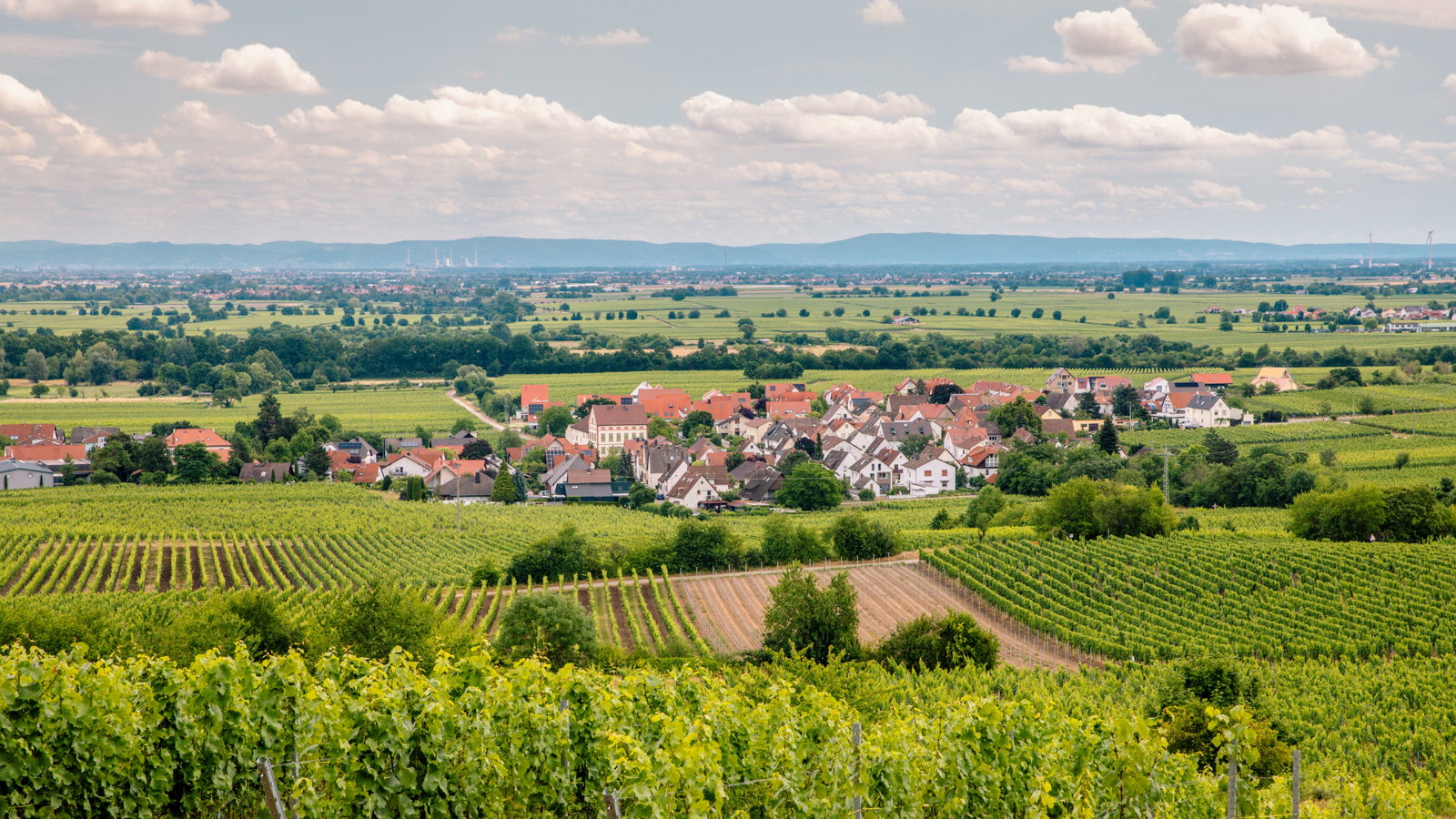 An aerial landscape photograph of Deidesheim, a small German wine town surrounded by vineyards, published by Condé Nast Traveler in an article explici