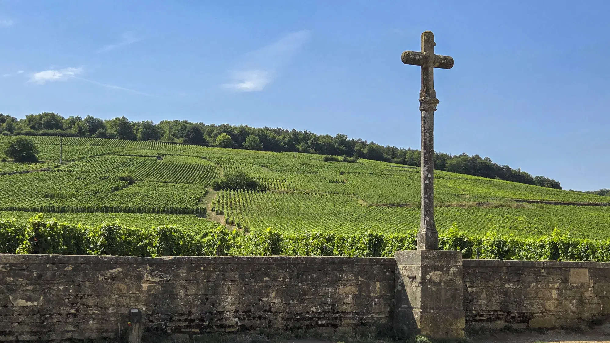 La Paulée San Francisco 2026: Burgundy’s Great Festival Returned to the Bay