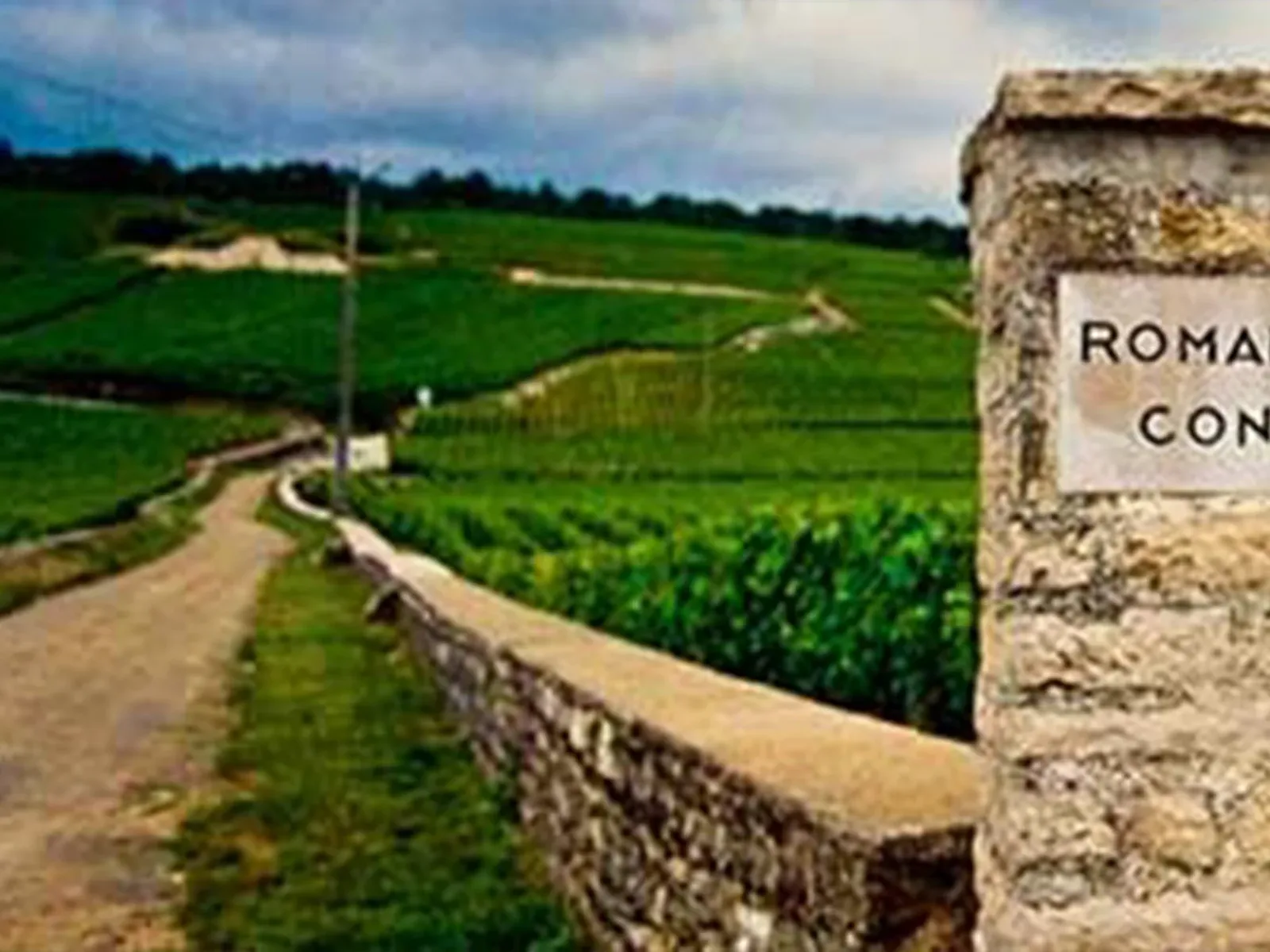 Vineyards in Burgundy