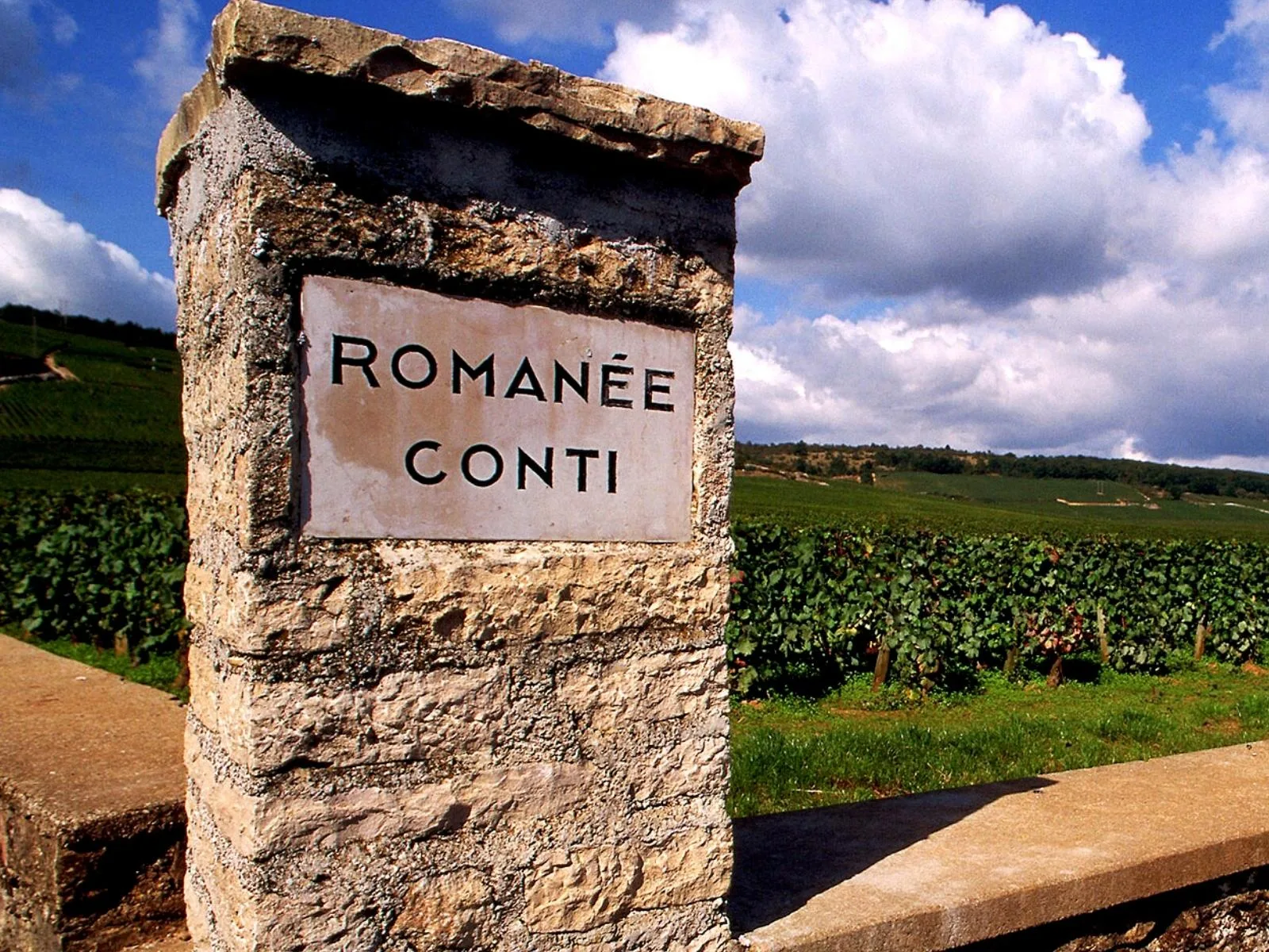 Vineyards in Burgundy