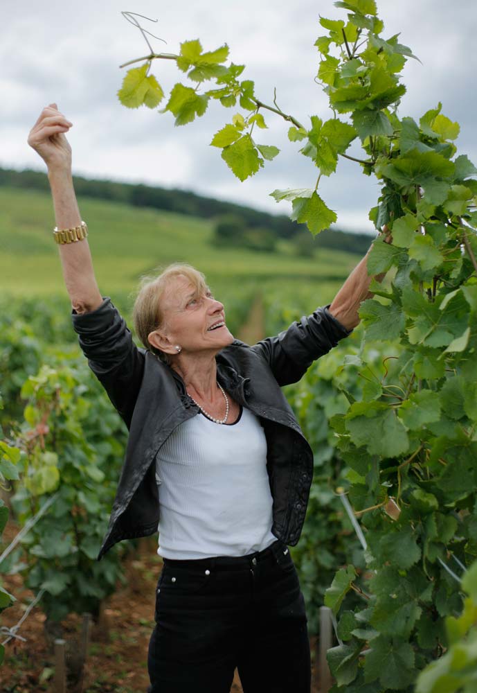A woman in a vineyard examining grapevine canopy with arms raised, published on a Domaine Leroy distributor page with explicit alt-text 'Domaine Leroy
