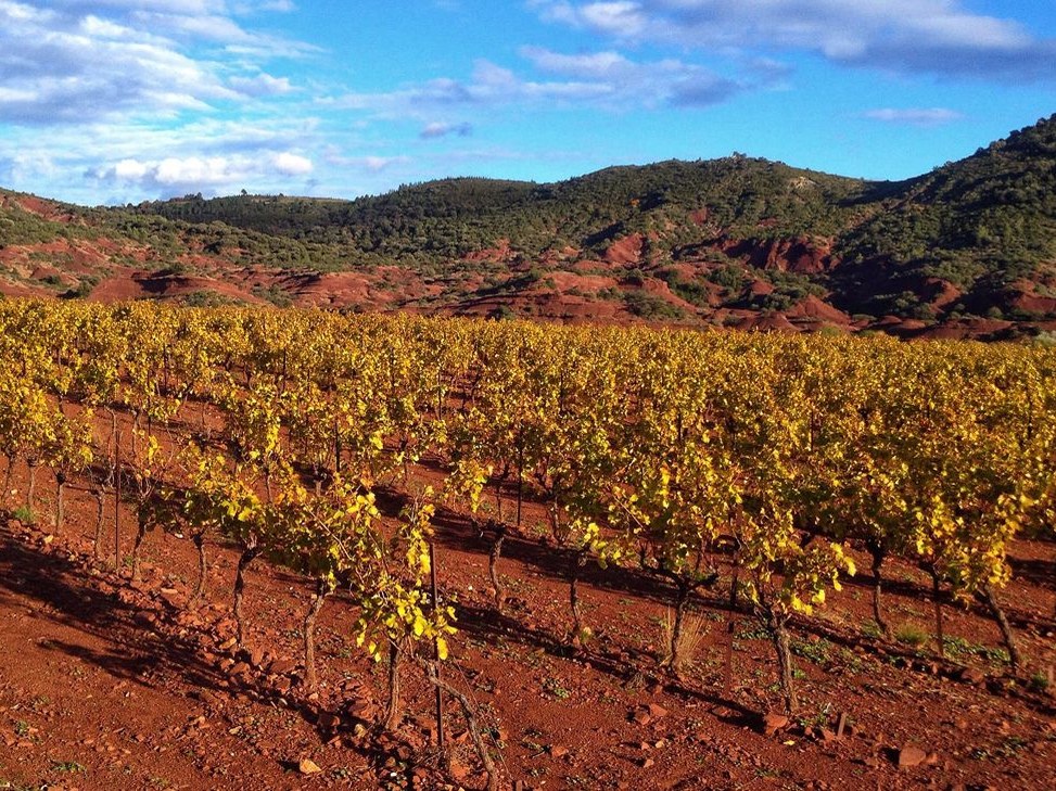 Terrasses du Larzac's red soils glow with autumn-colored vines.