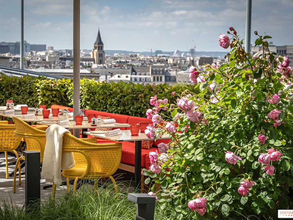 A vibrant rooftop terrace with yellow wicker chairs, red banquettes, and lush rose bushes offers panoramic city views under a bright sky.