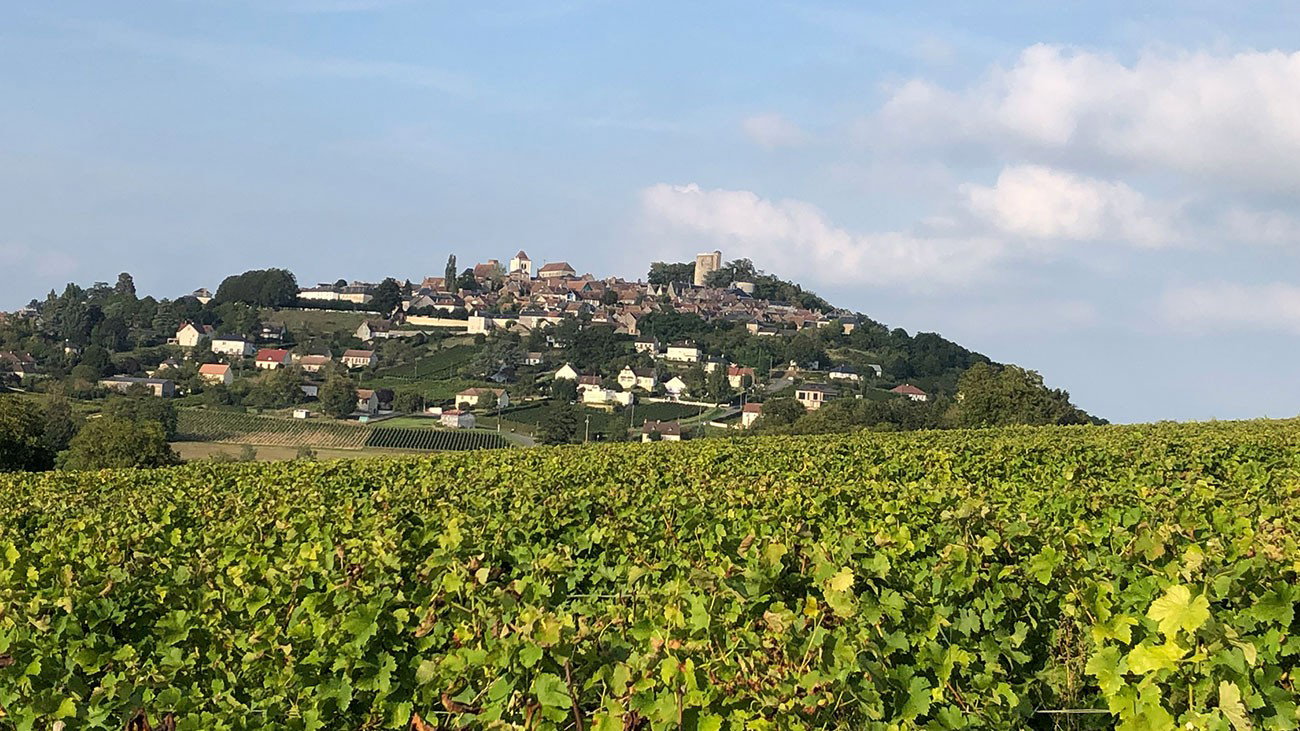 Beyond Sancerre: 5 Loire Valley Sauvignon Blanc Alternatives Under $30 ...