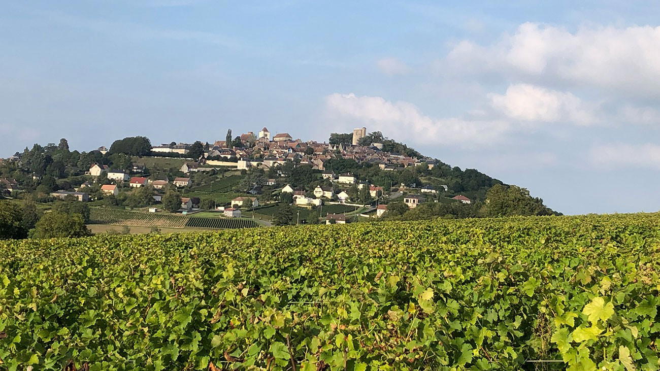 Beyond Sancerre: 5 Loire Valley Sauvignon Blanc Alternatives Under $30