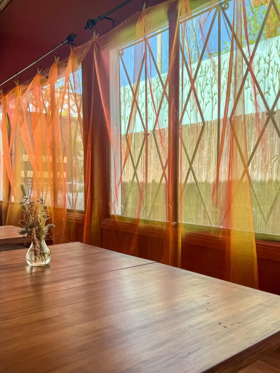Seedy (Lincoln Heights) features vibrant orange sheer curtains that softly filter the sunlight.