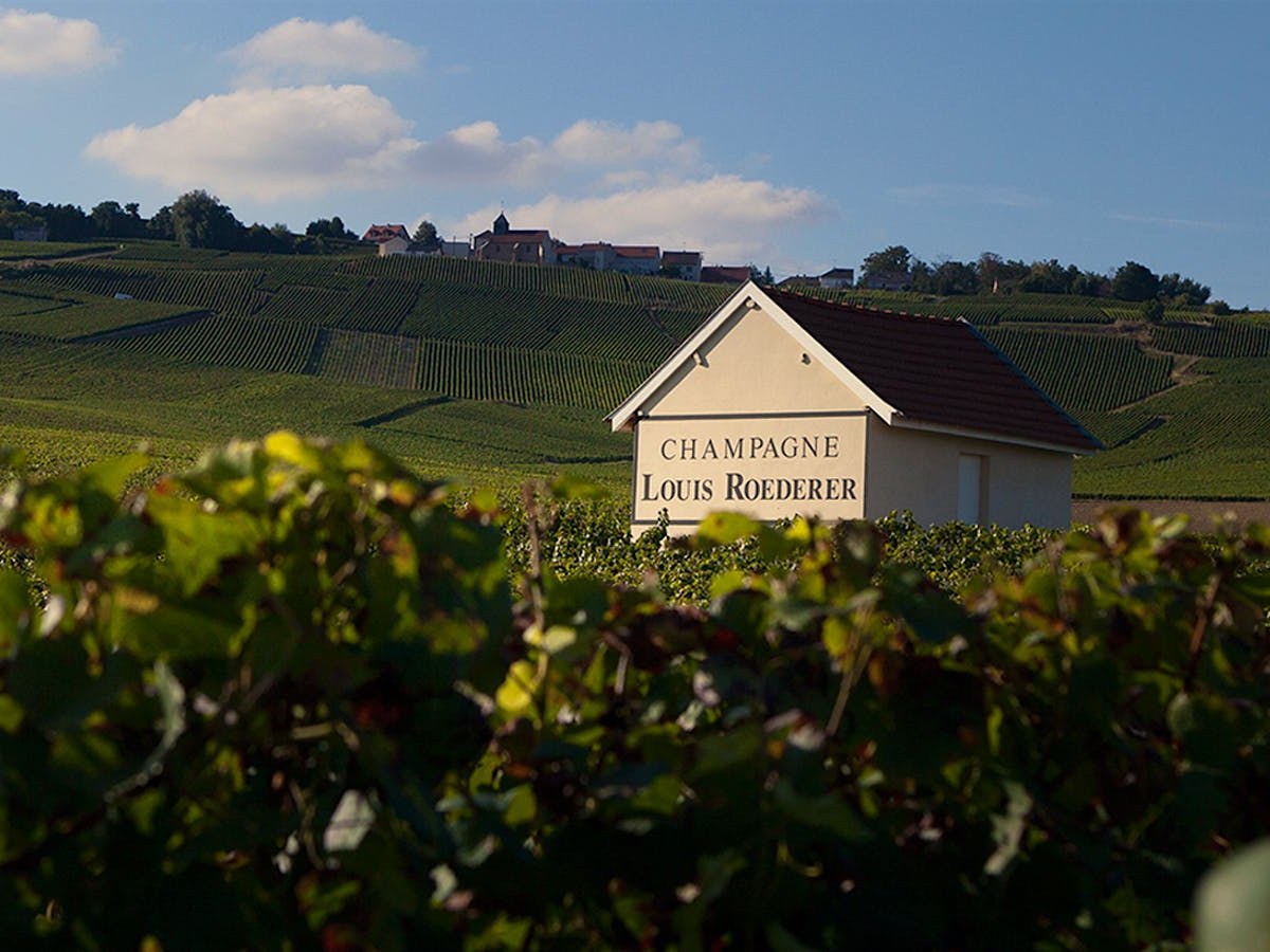 A small building with "CHAMPAGNE LOUIS ROEDERER" signage stands amidst rolling green vineyards under a blue sky with white clouds.