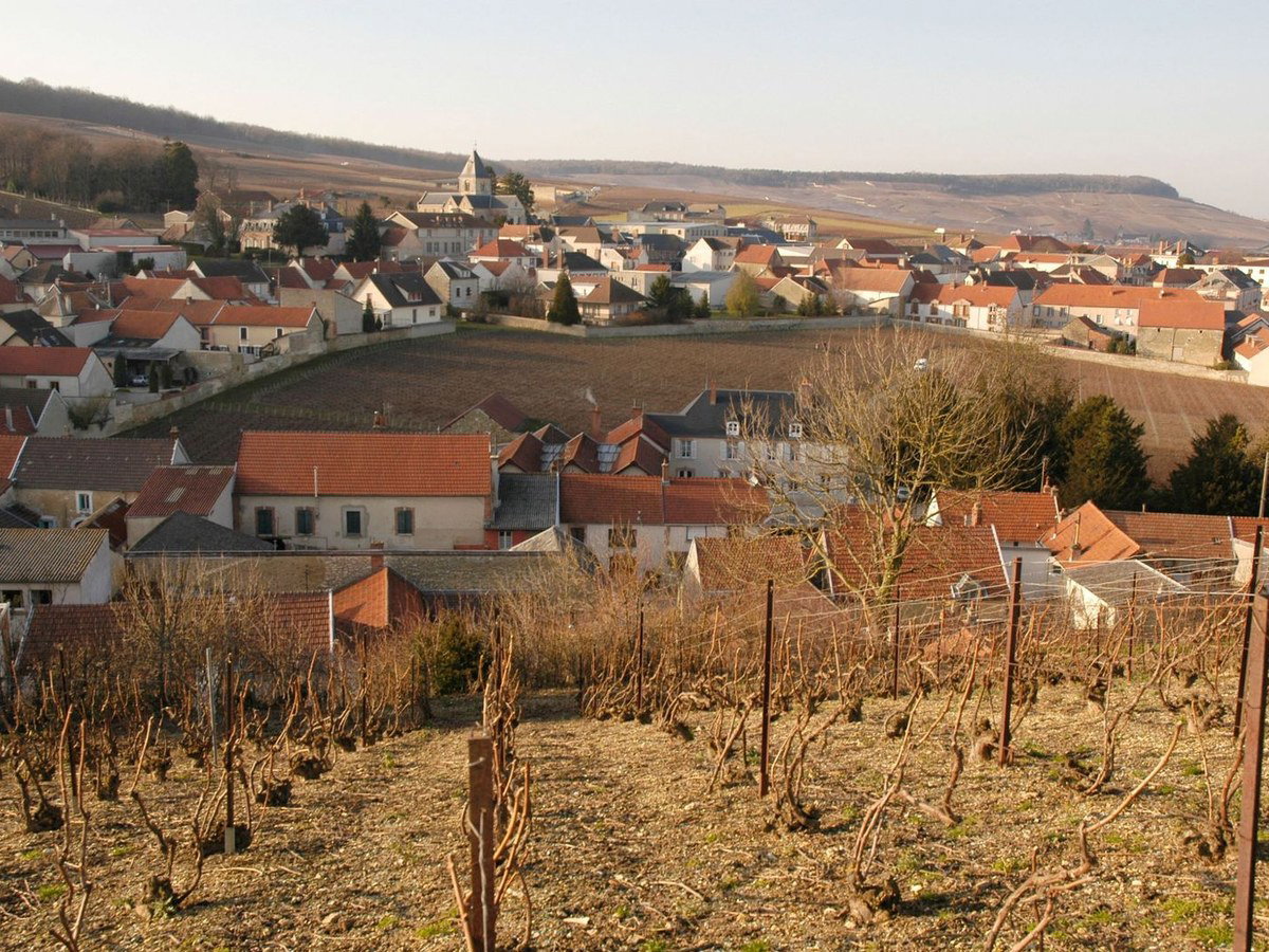 A French village with vineyards in the foreground, red-tiled roofs, and a church spire.