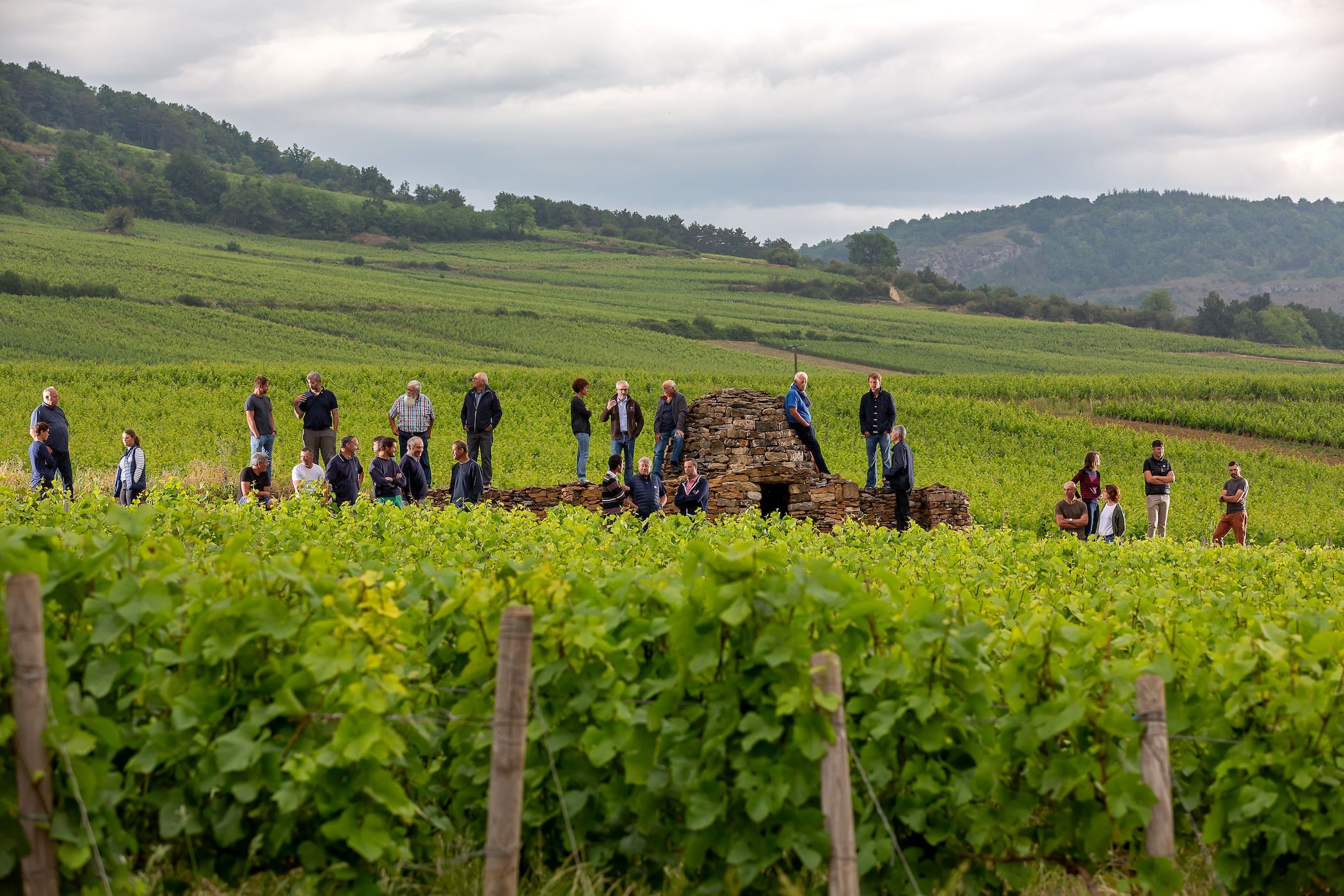 Maranges Burgundy Wines Find Their Moment at Chevrot