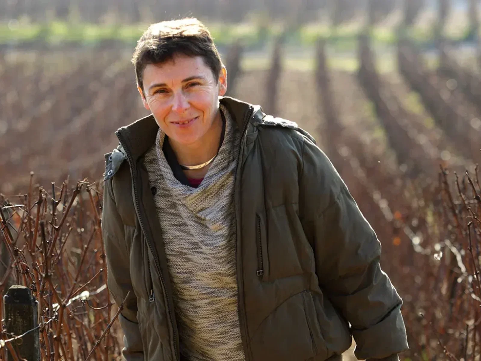 A winegrower standing among vineyard rows.