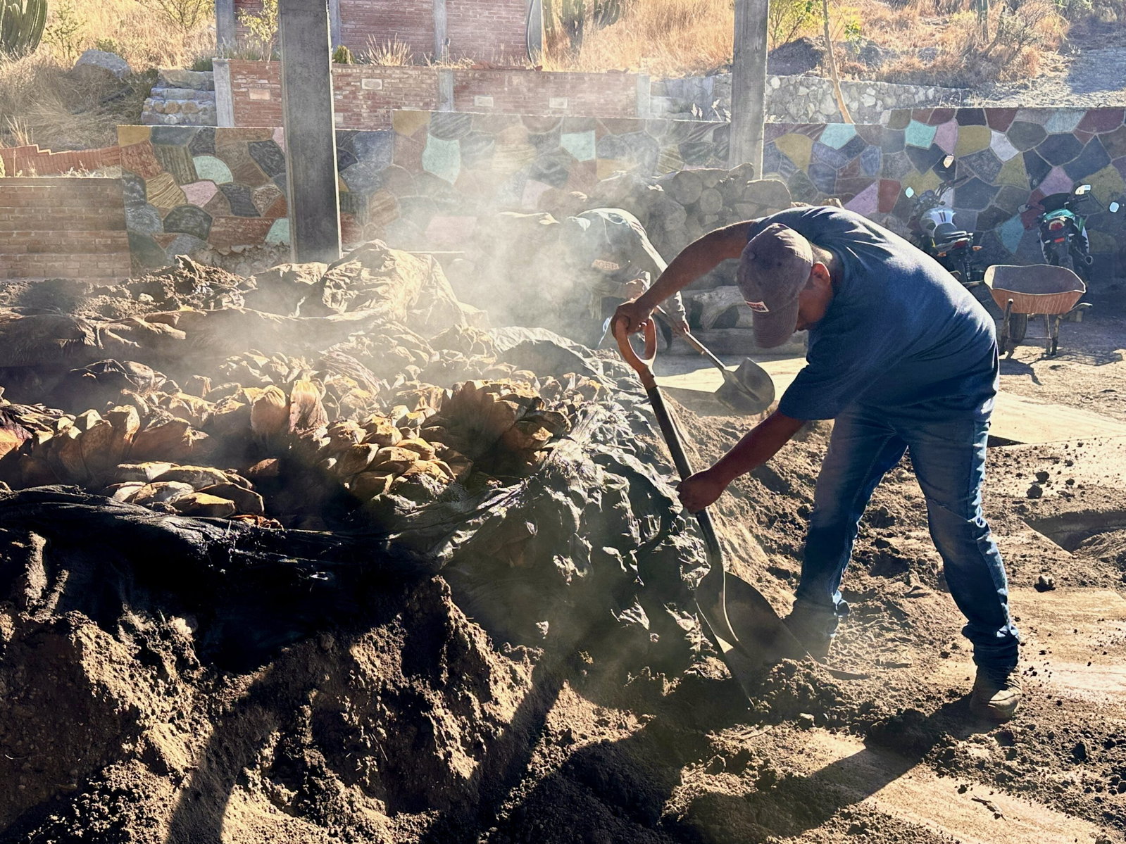 Two workers use shovels to uncover agave piñas from a smoking earthen pit oven, with a colorful stone wall in the background.