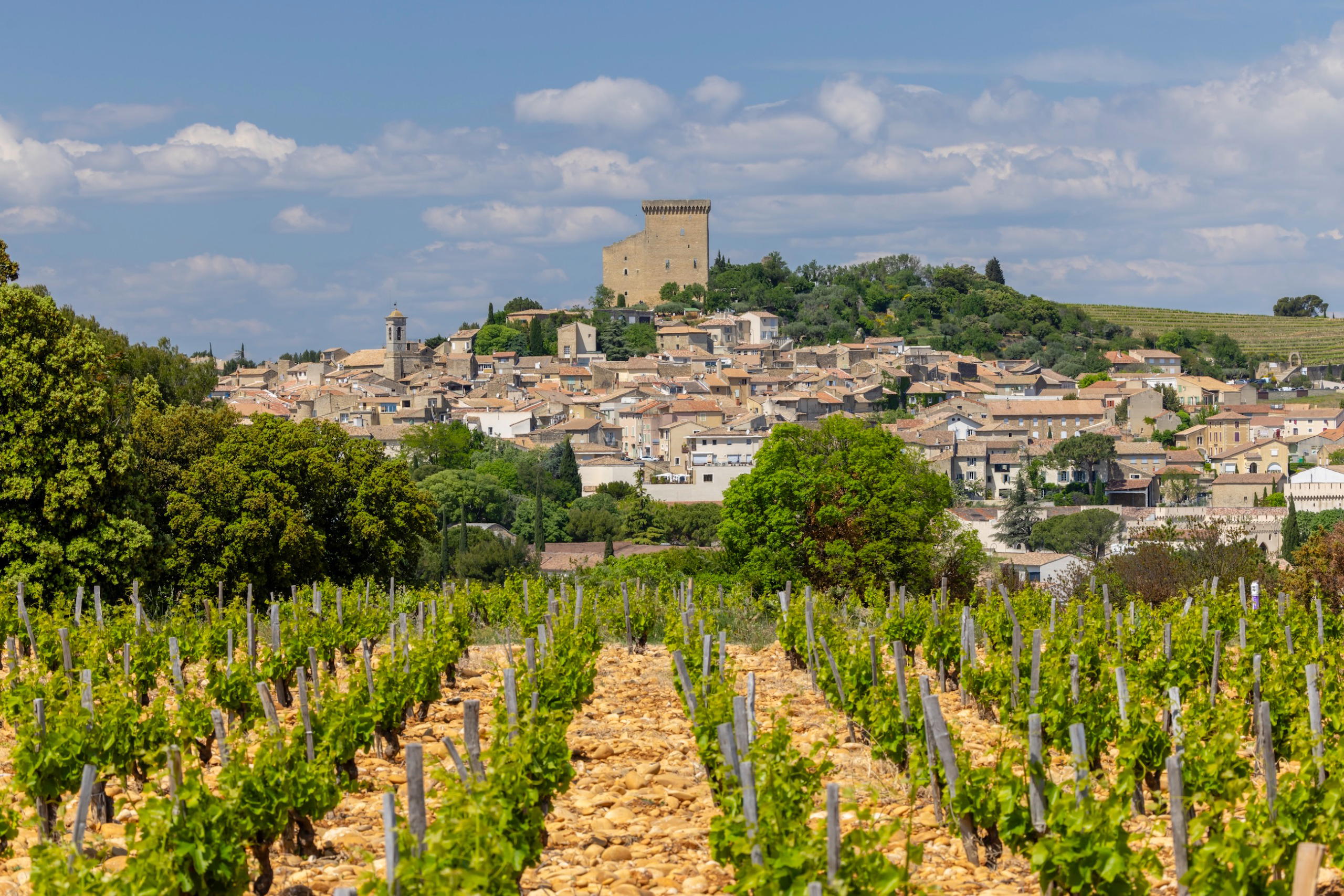 Michelin Bordeaux châteaux ranking: 83 Estates to Know
