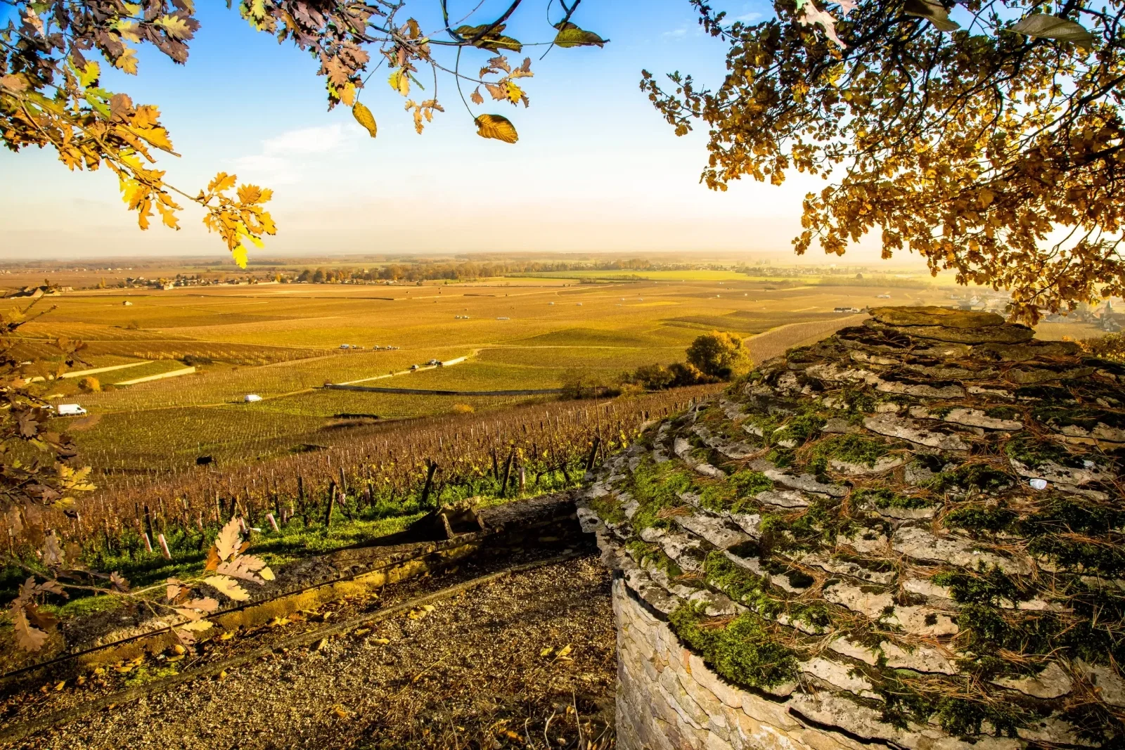 Burgundy's Côte d'Or, home to the Michelin Grape Selection estates