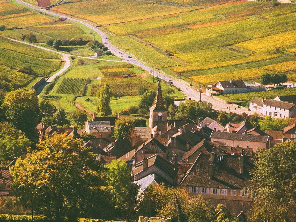 Aerial view of the Côte d'Or vineyards in Burgundy