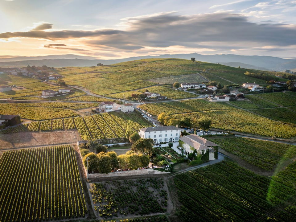 Aerial view of the Côte d'Or vineyards in Burgundy
