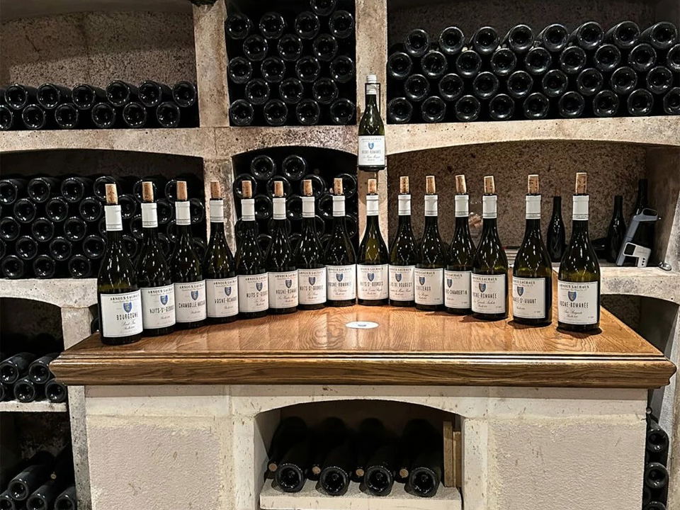 The Domaine Arnoux-Lachaux range, from Bourgogne to Romanée-Saint-Vivant, in the estate cellar.