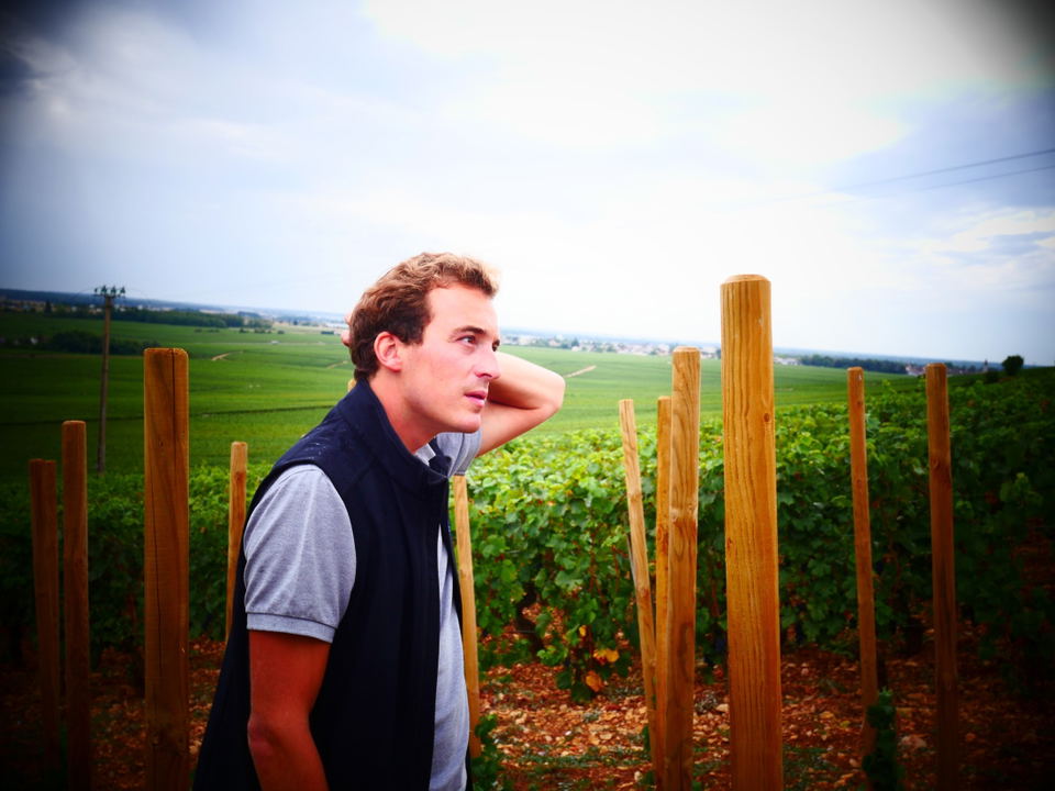 Charles Lachaux in the Arnoux-Lachaux vineyards, Vosne-Romanée.