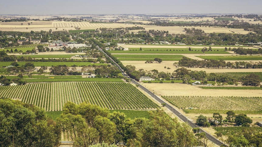 Michelin Guide South Australia: What the October Reveal Means for You
