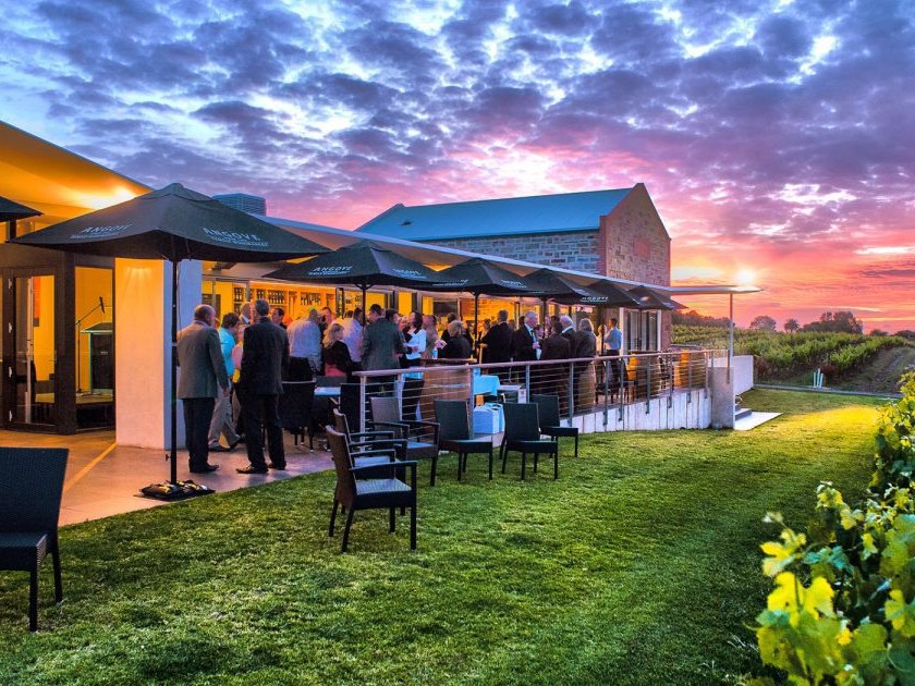People gather on a patio under umbrellas at sunset, with a vineyard visible in the background.