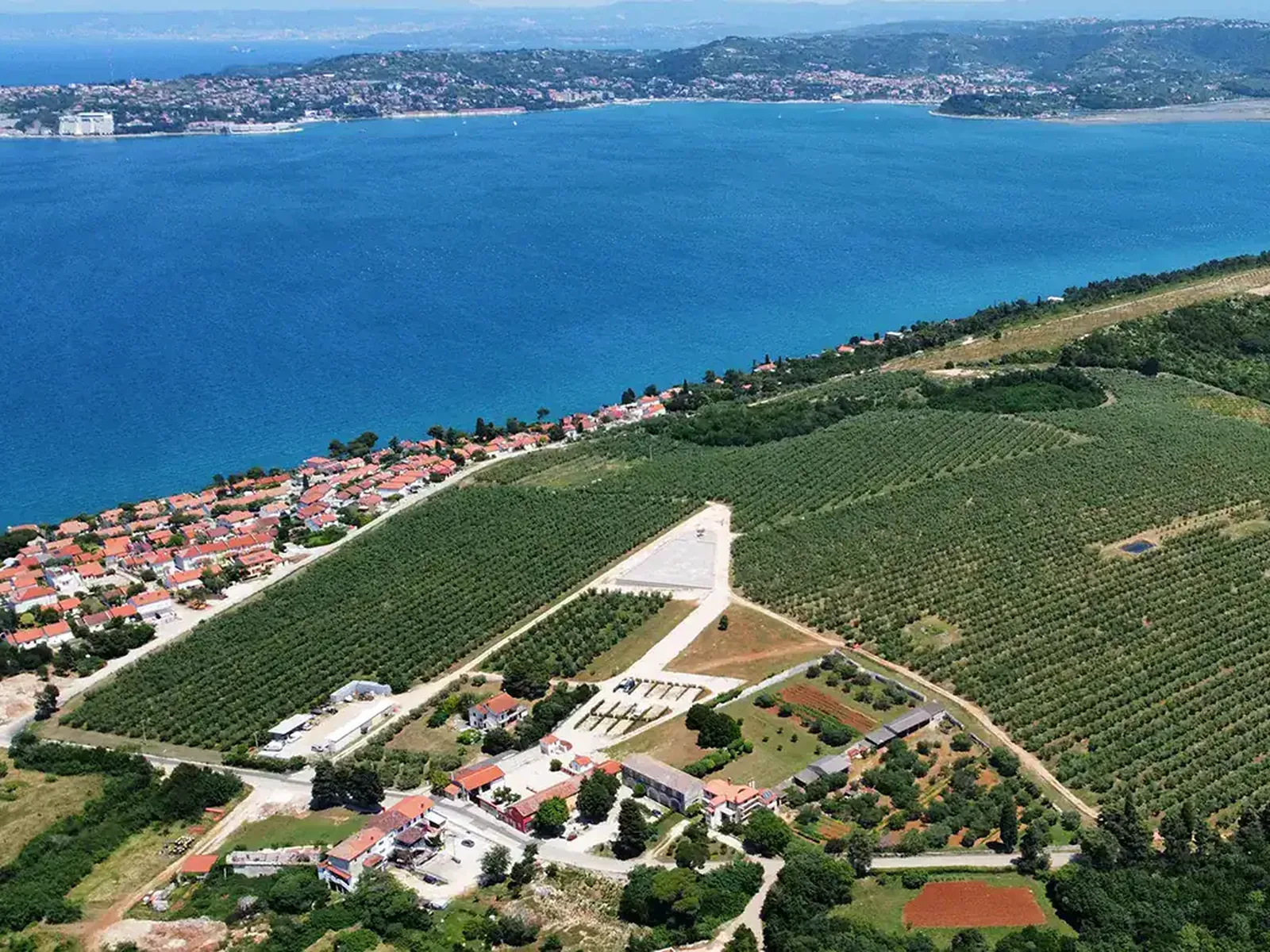 Vineyards in Burgundy
