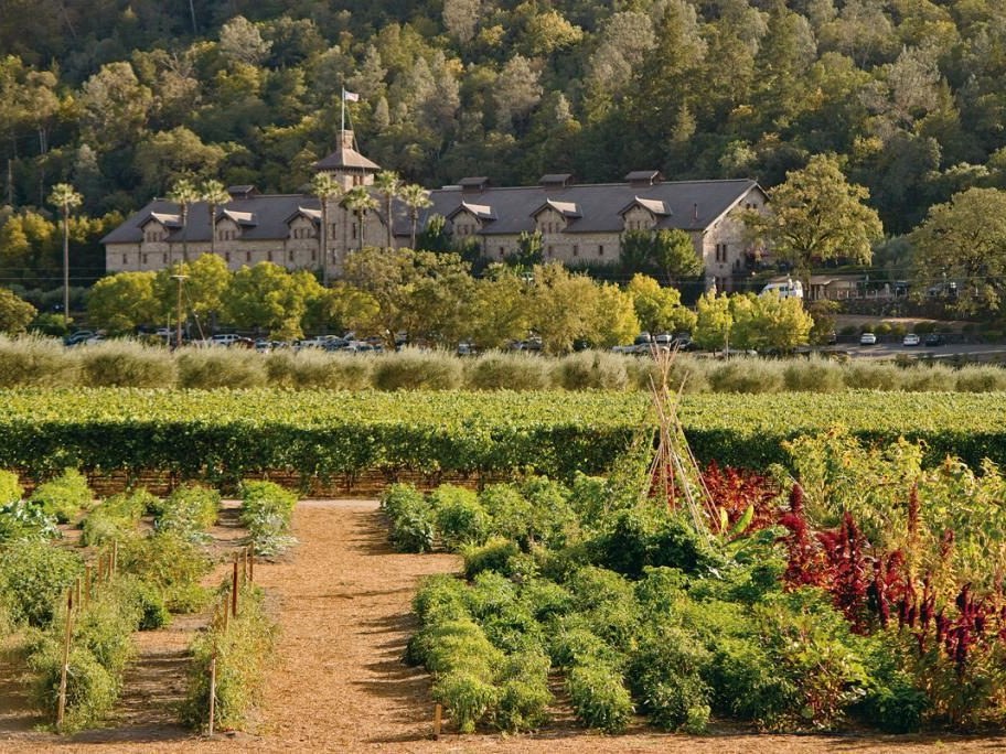 The Culinary Institute of America at Greystone, a stunning backdrop for napa's best cellars wine dinner.