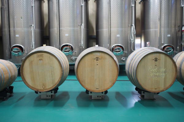 Natural Wine of Wales PGI Enters Defra Review