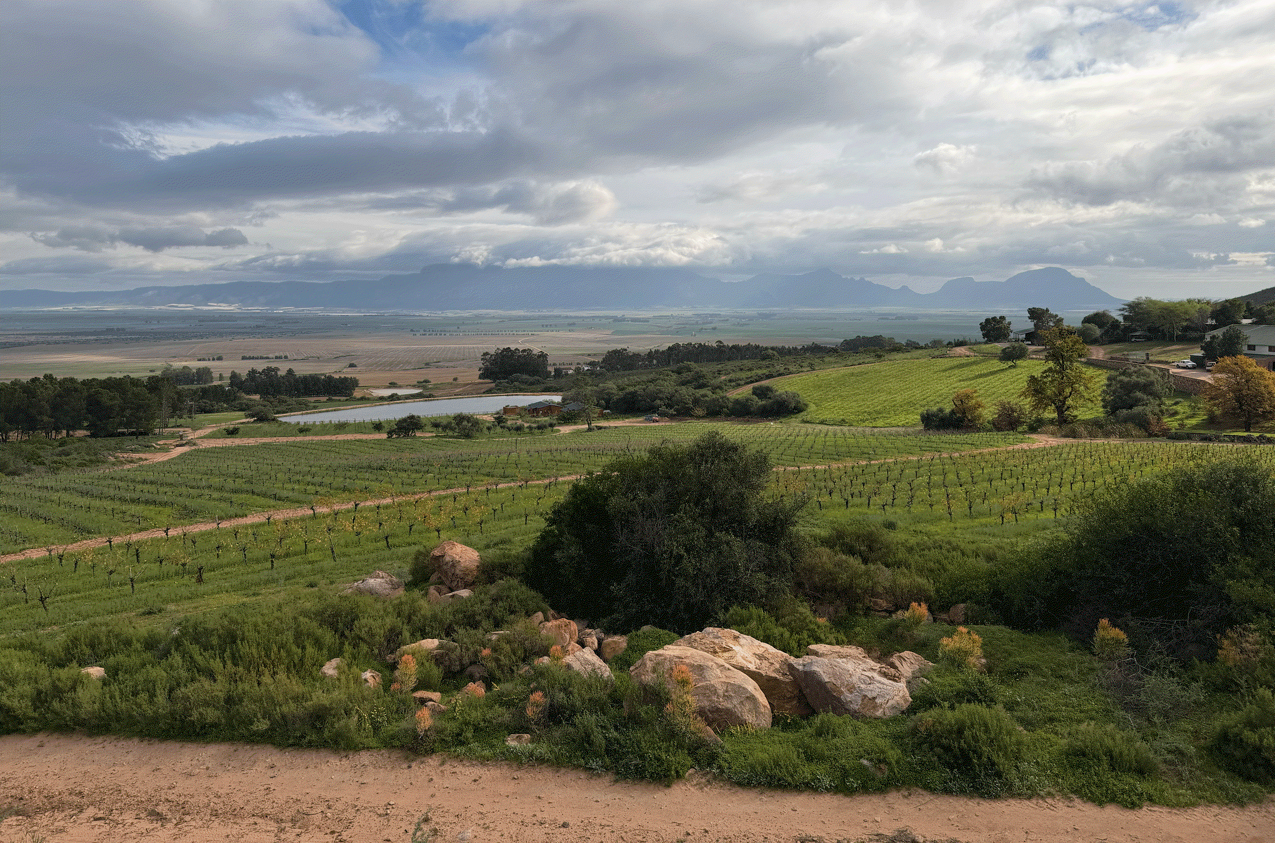 Northern Swartland Winemakers Beyond the Paardeberg