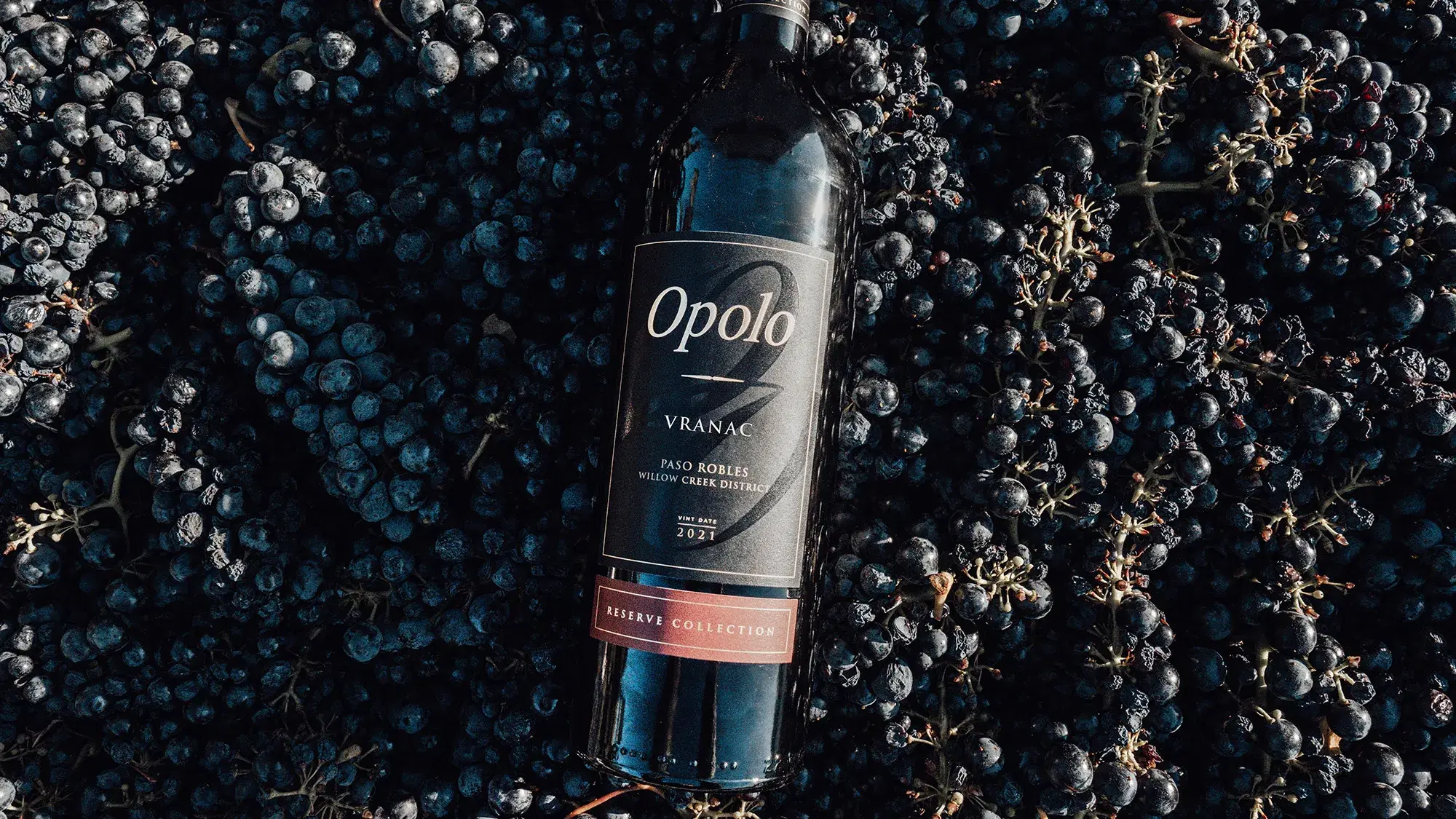 Opolo Vranac Reserve Brings Balkan Rarity to Paso