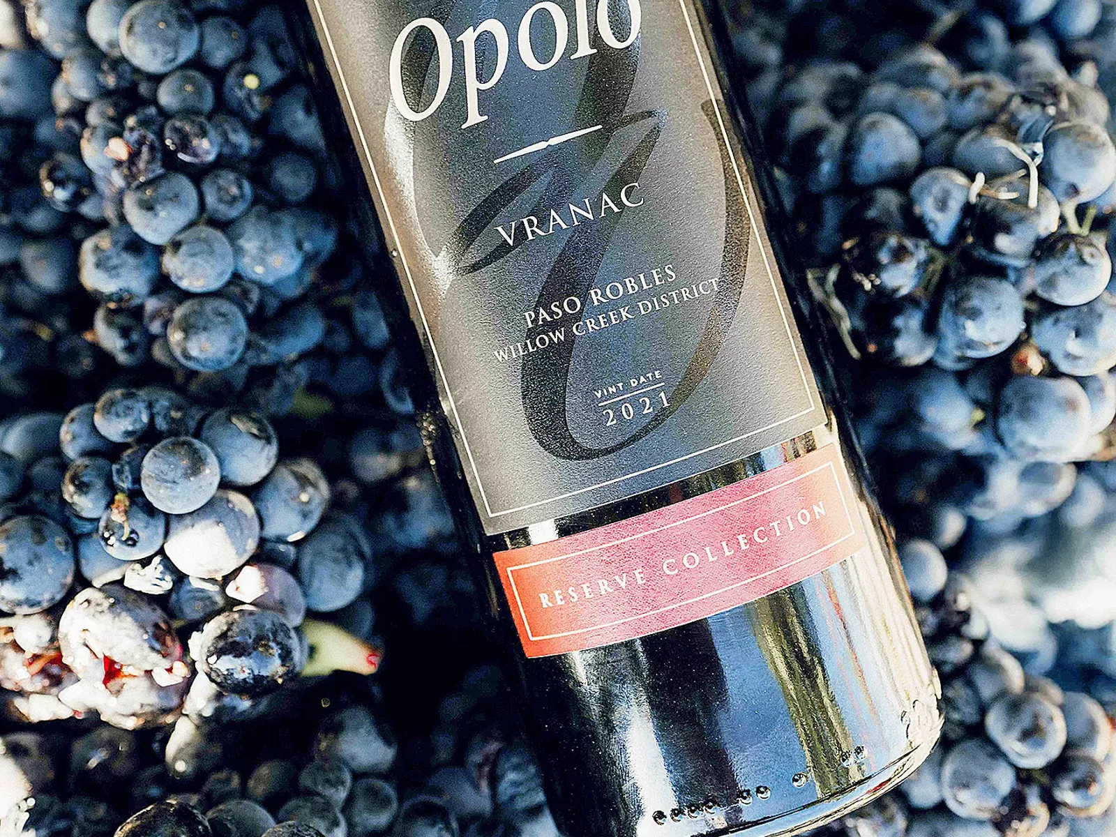Opolo Vranac bottle resting on dark blue grapes.