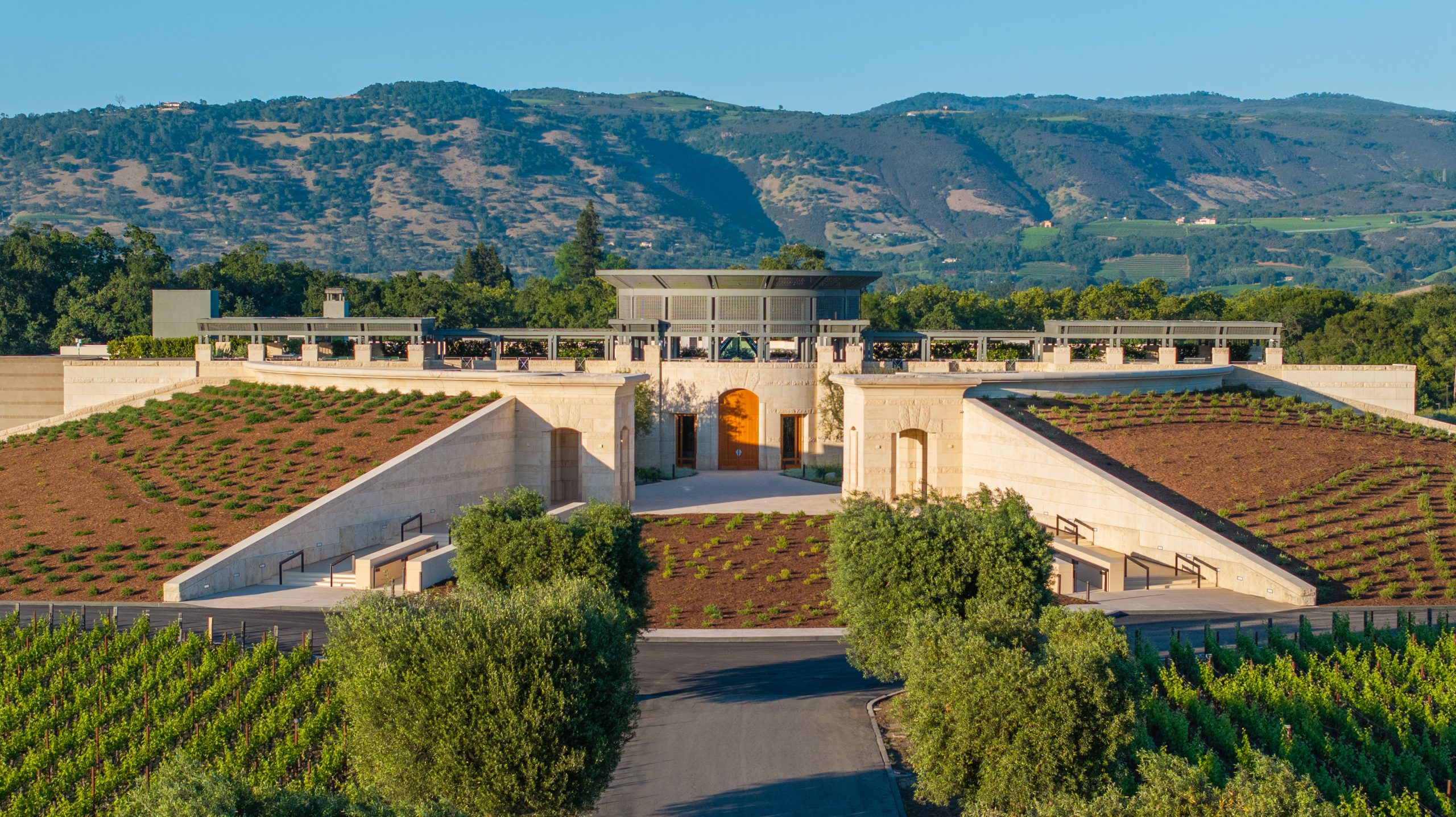 Opus One 2013: The Only 100-Point Vintage Trading at Near-Parity
