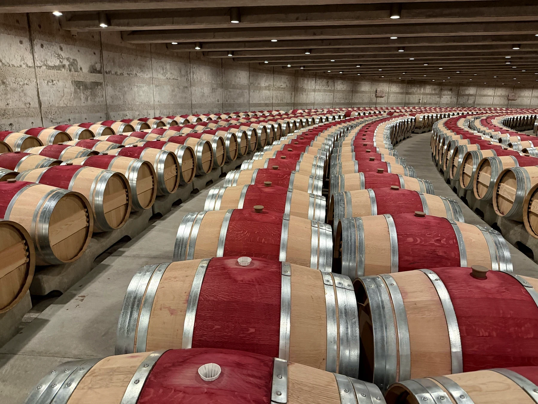 Curving rows of new French oak barrels with red wine-stained centers in the Opus One Grand Chai