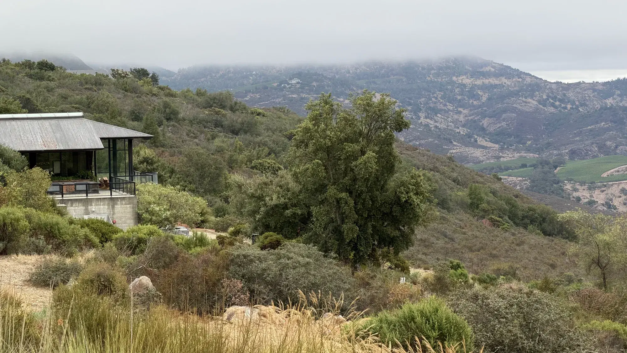 Inside OVID Napa Valley: A Pritchard Hill Estate Built on Experimentation