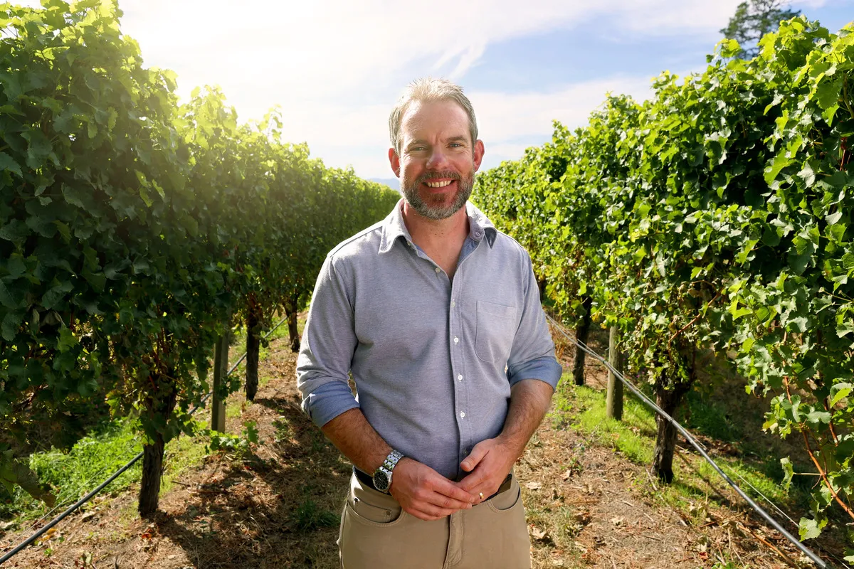 A smiling man with a beard and gray shirt stands in a vineyard with rows of green grapevines under a sunny sky.