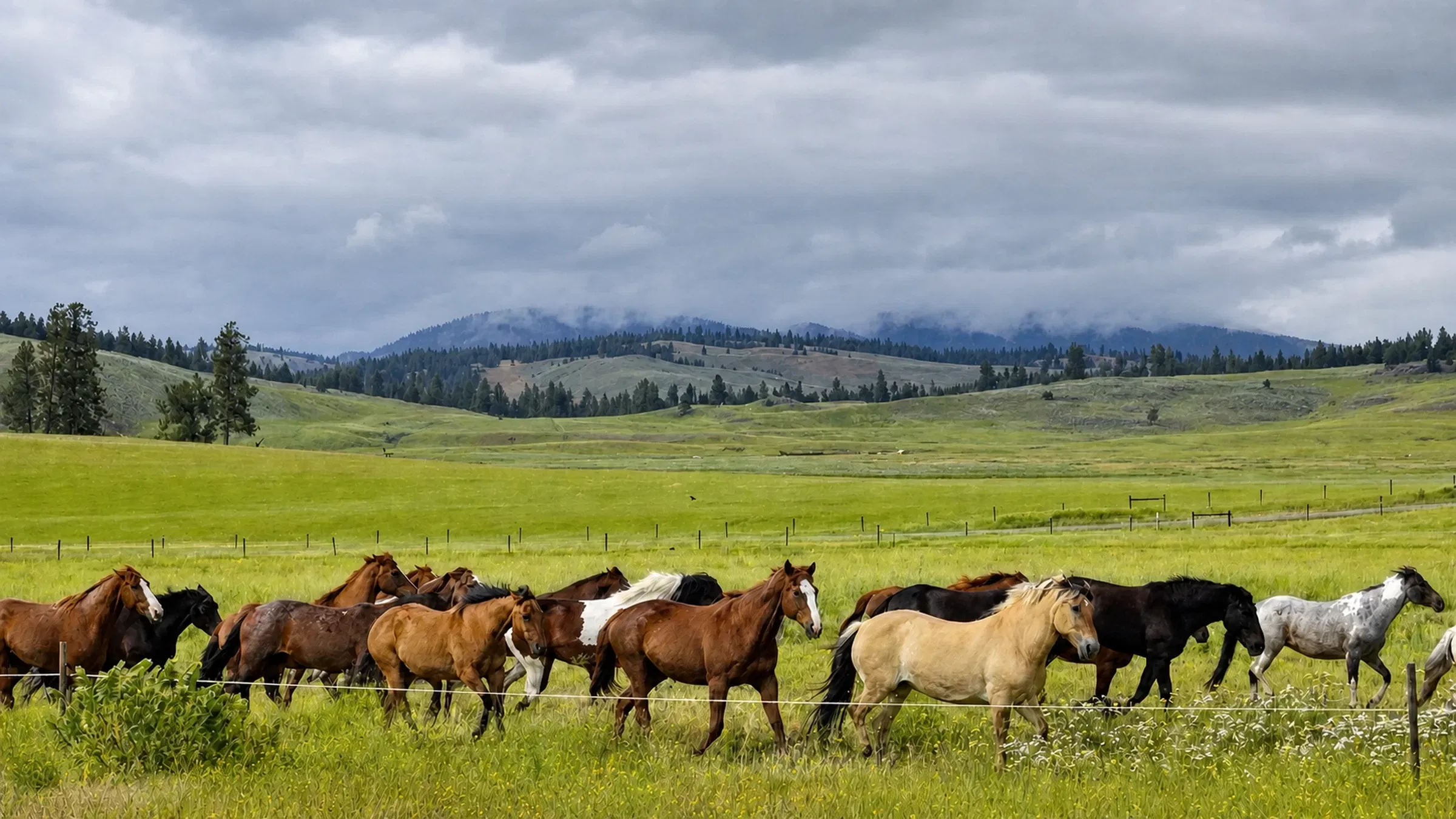 Paws Up Montana Review: Five Days at Cliffside Camp