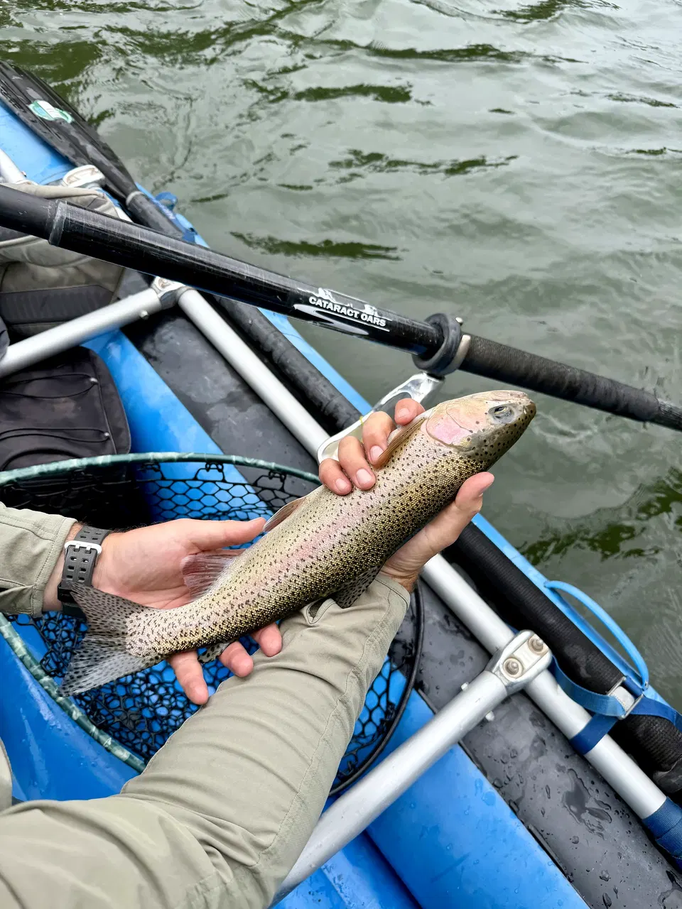 Cutthroat trout held above a fly-fishing raft on the Blackfoot River