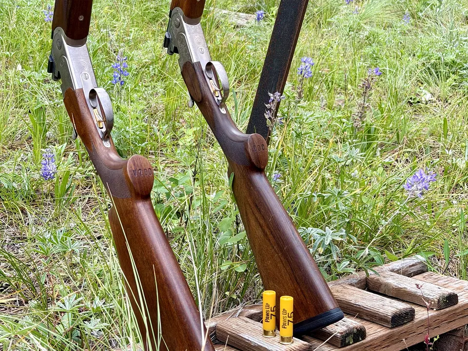 Two sporting shotguns and Paws Up shells resting among Montana wildflowers